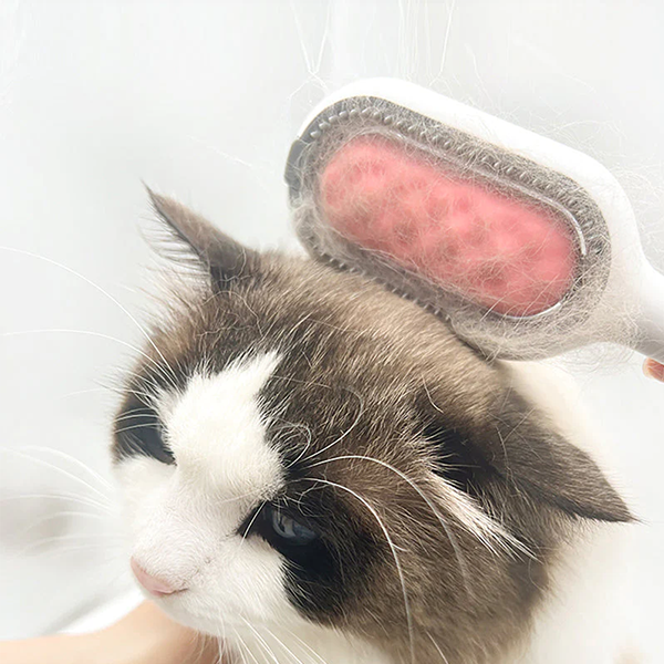 Pettine per la depilazione con serbatoio dell'acqua integrato per animali domestici
