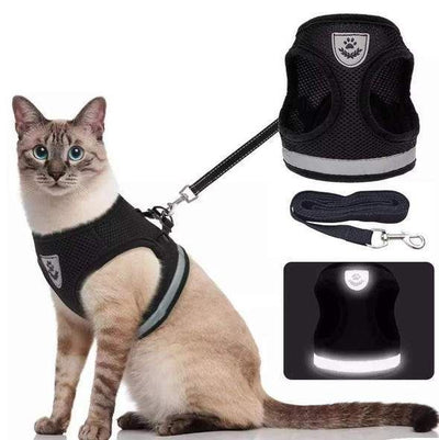 Pettorina per gatti regolabile, traspirante e luminosa