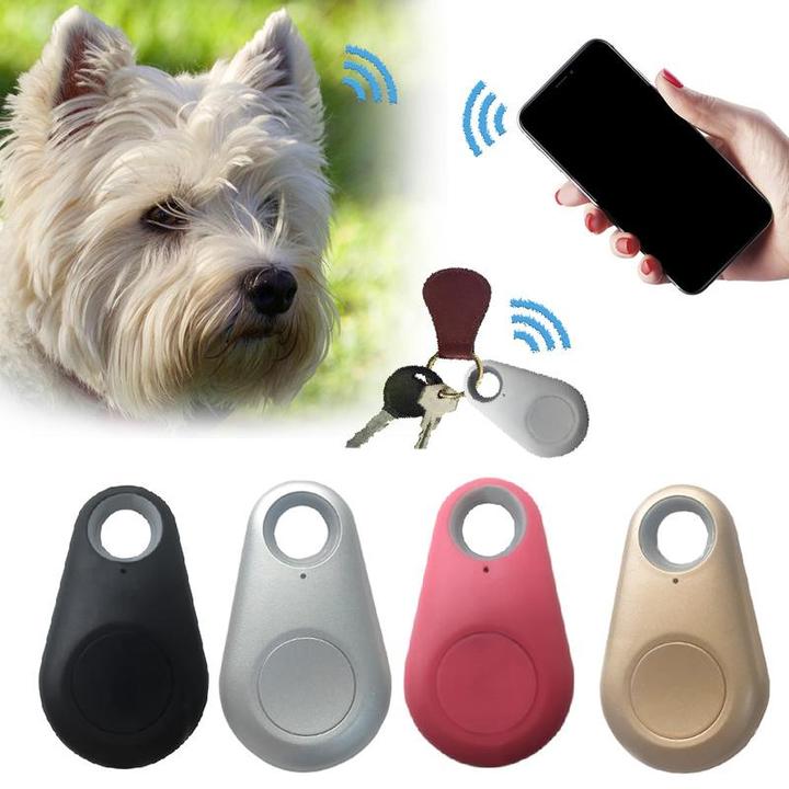 Jonas | Localizzatore GPS impermeabile per animali domestici: sicurezza istantanea in movimento