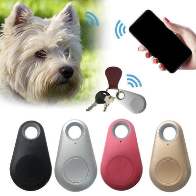 Jonas | Localizzatore GPS impermeabile per animali domestici: sicurezza istantanea in movimento