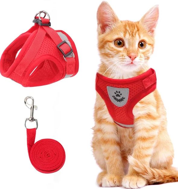 Pettorina per gatti regolabile, traspirante e luminosa