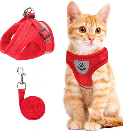 Pettorina per gatti regolabile, traspirante e luminosa