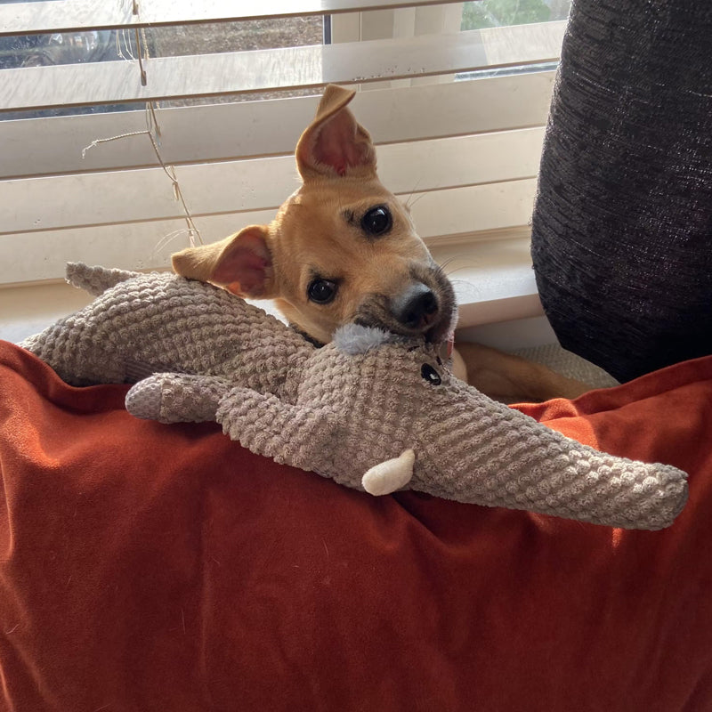 Juguete para perros extra fuerte para perros: masticar duradero para masticar perros activos