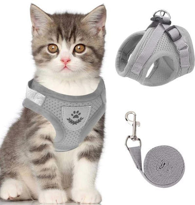 Pettorina per gatti regolabile, traspirante e luminosa