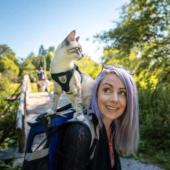 Pettorina per gatti regolabile, traspirante e luminosa