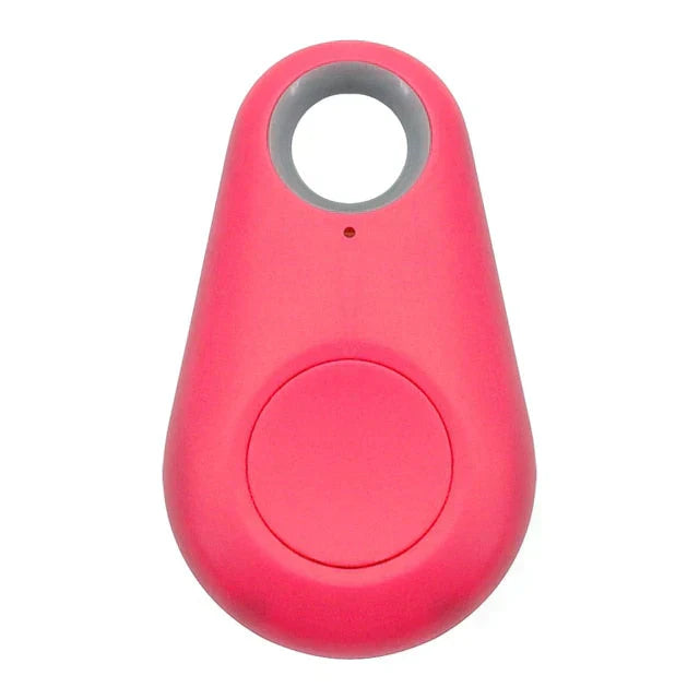 Localizzatore Gps per animali domestici