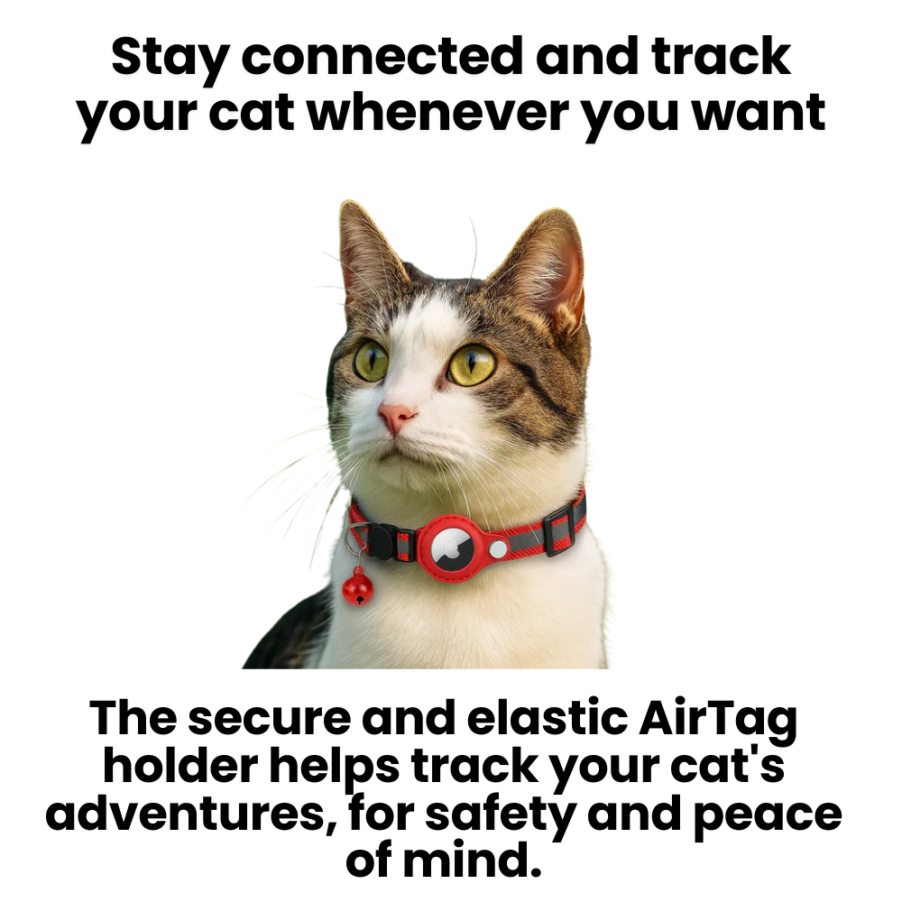 Collare GPS tracker per gatti | Sgancio rapido, design riflettente e resistente per avventure all'aperto in tutta sicurezza