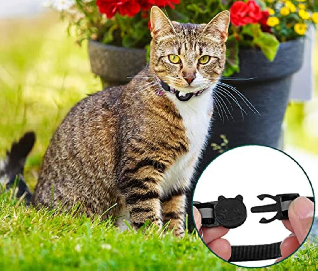 Collare GPS tracker per gatti | Sgancio rapido, design riflettente e resistente per avventure all'aperto in tutta sicurezza