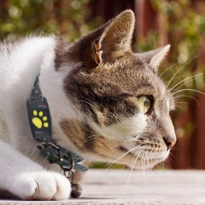 Sistema di localizzazione GPS per gatti con aggiornamenti sulla posizione in tempo reale - compatto e leggero