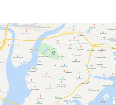 Sistema di localizzazione GPS per gatti con aggiornamenti sulla posizione in tempo reale - compatto e leggero