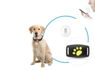 Sistema di localizzazione GPS per gatti con aggiornamenti sulla posizione in tempo reale - compatto e leggero