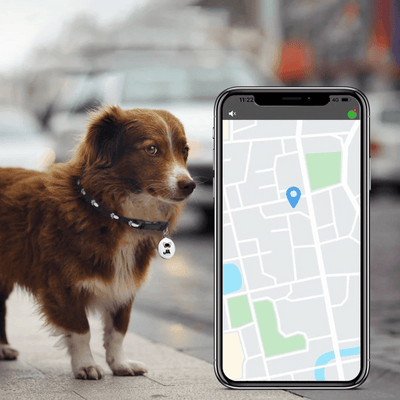 NARA - Localizzatore GPS per animali domestici con Bluetooth e design impermeabile - Compatto e leggero per la sicurezza