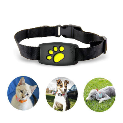 Collare GPS tracker per animali domestici - senza abbonamento e impermeabile