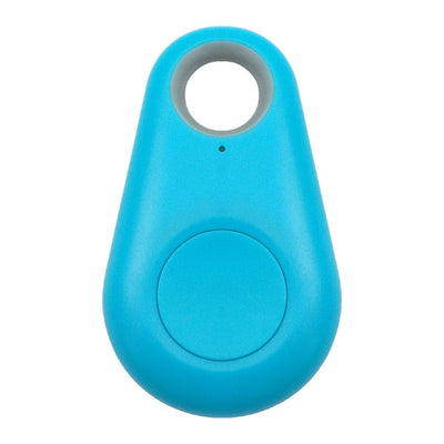 Targhetta GPS per animali domestici - PawFinder