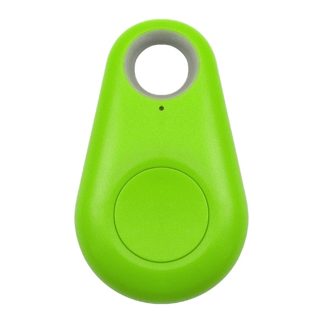 Targhetta GPS per animali domestici - PawFinder