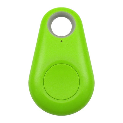 Targhetta GPS per animali domestici - PawFinder
