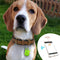Targhetta GPS per animali domestici - PawFinder