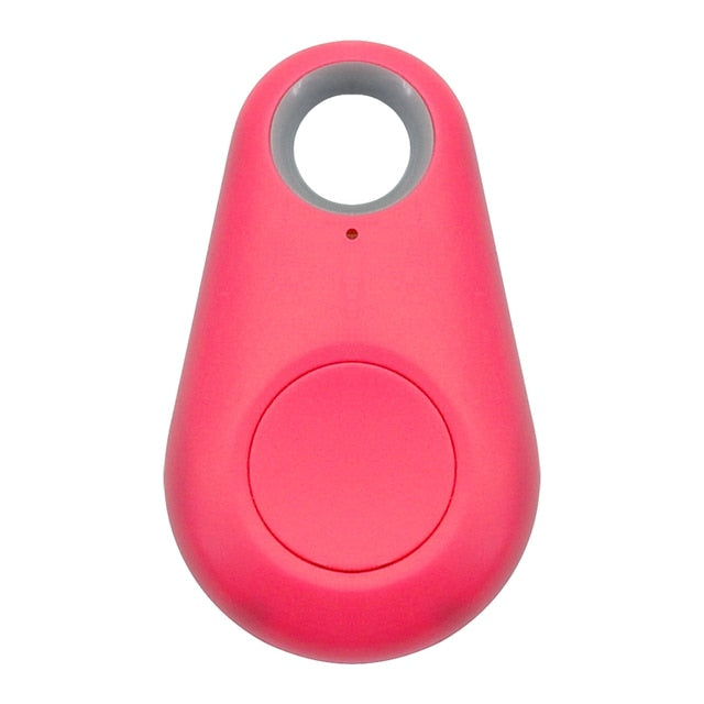 Targhetta GPS per animali domestici - PawFinder