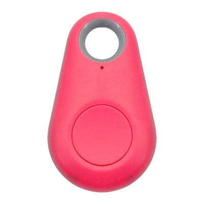 Targhetta GPS per animali domestici - PawFinder