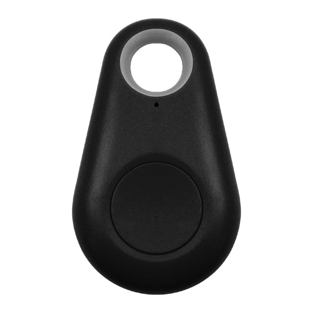 Targhetta GPS per animali domestici - PawFinder