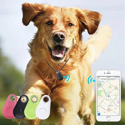 Allarme bidirezionale Localizzatore GPS Sen