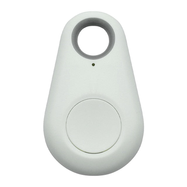 Targhetta GPS per animali domestici - PawFinder