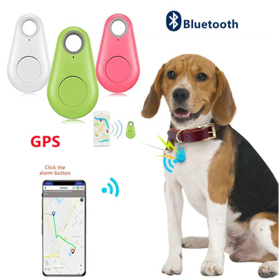 Allarme bidirezionale Localizzatore GPS Sen