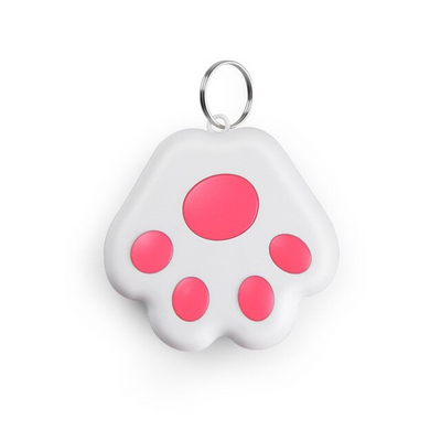 Targhetta GPS per animali domestici - PawFinder